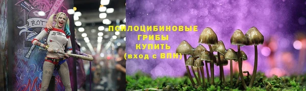 мет Алексеевка