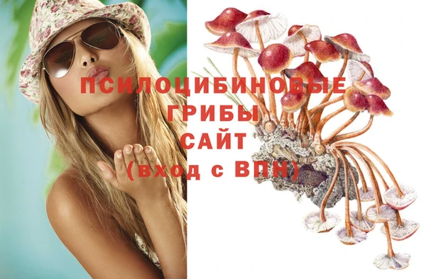 амфетамин Алексин