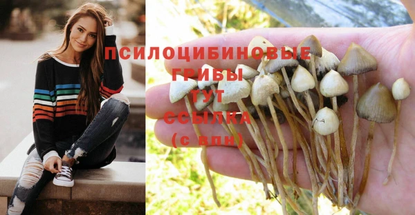 амфетамин Алексин
