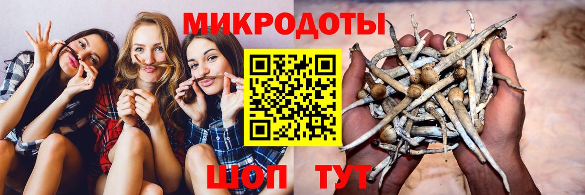 Галлюциногенные грибы Cubensis Воткинск