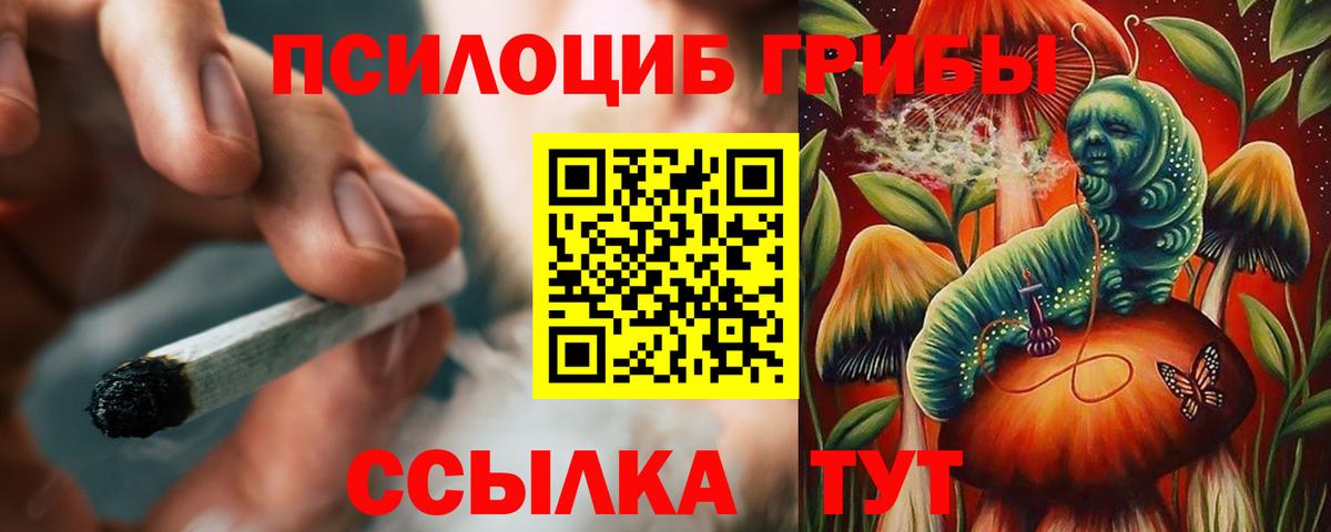Псилоцибиновые грибы мицелий  Вход с VPN  Воткинск 